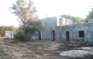 009-scaled.jpg